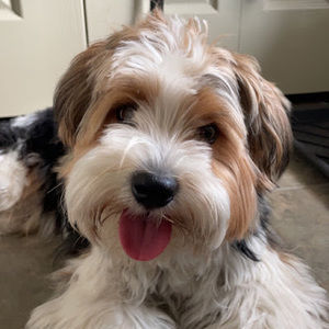 Meet your Posher, Claire